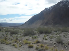 SDC11554 SDC11554