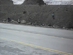 SDC11710 SDC11710