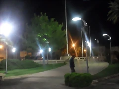 SDC11800 SDC11800
