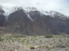 SDC11555 SDC11555