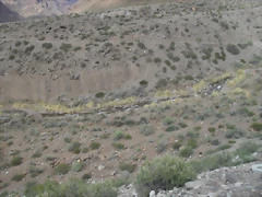 SDC11556 SDC11556
