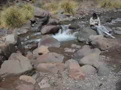 SDC11579 SDC11579