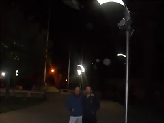 SDC11802 SDC11802