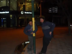 SDC11811 SDC11811