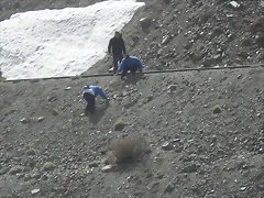 SDC11713 SDC11713