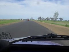 SDC11784 SDC11784