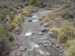 SDC11561 SDC11561