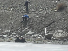 SDC11712 SDC11712