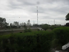 SDC11766 SDC11766