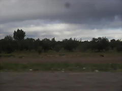 SDC11722 SDC11722