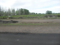 SDC11732 SDC11732