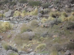 SDC11558 SDC11558