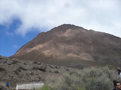SDC11563 SDC11563