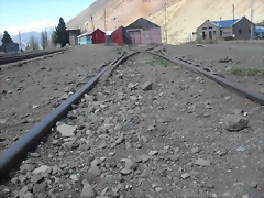 SDC11670 SDC11670