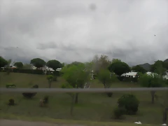 SDC11760 SDC11760