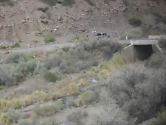 SDC11557 SDC11557