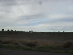 SDC11729 SDC11729