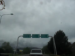 SDC11750 SDC11750