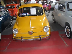 SDC11367 SDC11367