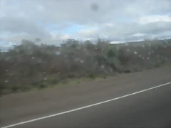 SDC11440 SDC11440
