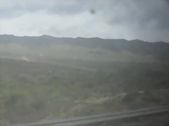 SDC11451 SDC11451