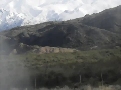 SDC11452 SDC11452