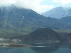 SDC11458 SDC11458
