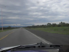 SDC11743 SDC11743