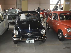 SDC11370 SDC11370