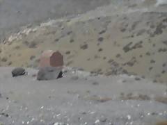 SDC11697 SDC11697