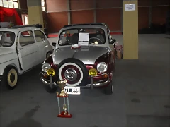 SDC11365 SDC11365