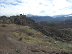 SDC11460 SDC11460