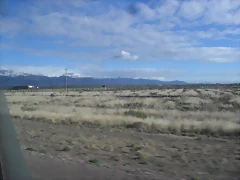 SDC11426 SDC11426