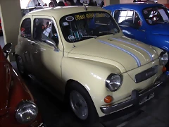 SDC11383 SDC11383