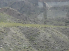 SDC11492 SDC11492