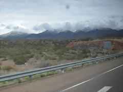 SDC11484 SDC11484