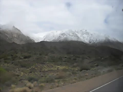 SDC11501 SDC11501