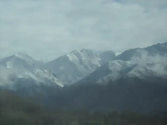 SDC11454 SDC11454