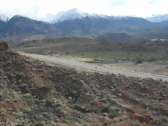 SDC11464 SDC11464