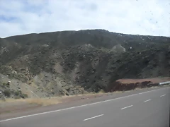 SDC11489 SDC11489