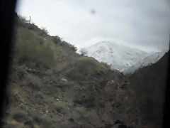SDC11495 SDC11495