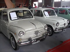 SDC11398 SDC11398