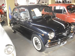 SDC11381 SDC11381