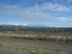 SDC11425 SDC11425