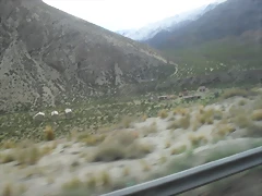 SDC11504 SDC11504