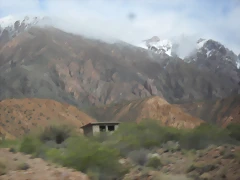 SDC11509 SDC11509