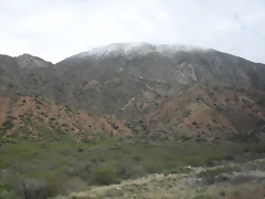 SDC11499 SDC11499