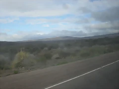 SDC11438 SDC11438