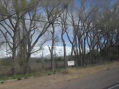 SDC11520 SDC11520