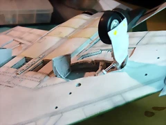 P1060776 P1060776